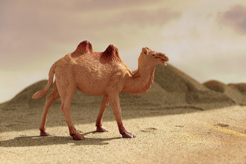 Toy camel on sand