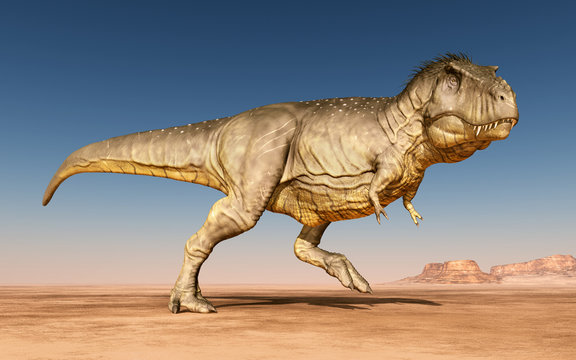 Tyrannosaurus Rex in der Wüste