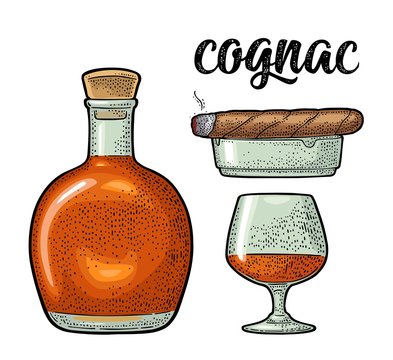 Bottle, glass, cigar and ashtray. Handwriting lettering cognac. Vintage engraving
