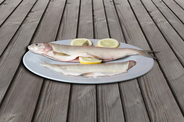 Felchen Bodenseefelchen Coregonus wartmanni Blaufelchen Speisefisch Süsswasserfisch