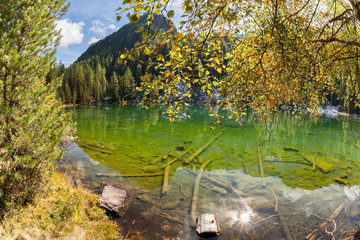 a natural hiden mountain lake among the woods in the Italian Apls