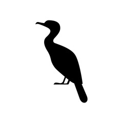 Great cormorant bird icon - obrazy, fototapety, plakaty
