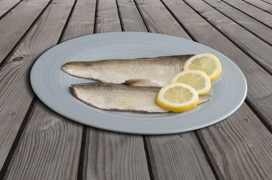 Felchen Bodenseefelchen Coregonus wartmanni Blaufelchen Speisefisch S&uuml;sswasserfisch