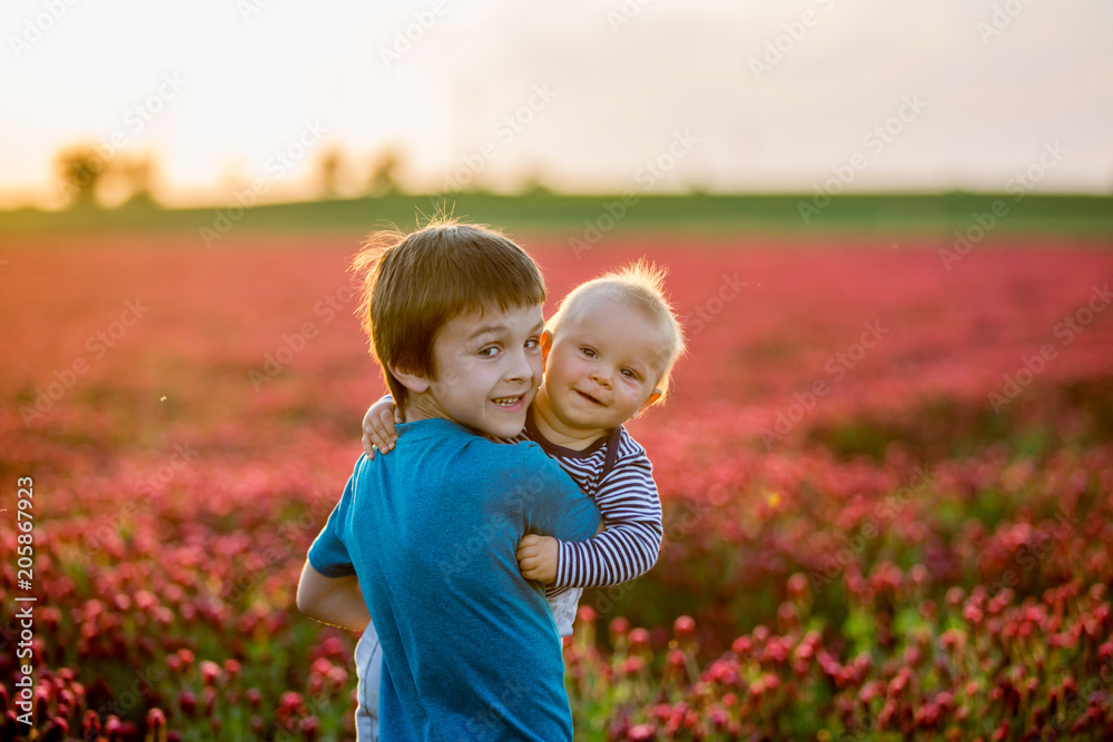 Canvas Prints Beautiful children in gorgeous crimson clover field on sunset