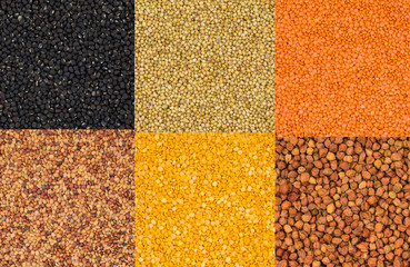 Collection of Seeds in Black Gram or Black Mung, Dried Coriander, Red Lentils or Masoor Dal, Yellow...
