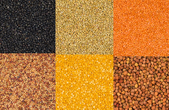 Collection of Seeds in Black Gram or Black Mung, Dried Coriander, Red Lentils or Masoor Dal, Yellow Split Dal, Mogar Dal, Mung Dal, Black Chick Pea or Kala Chana.