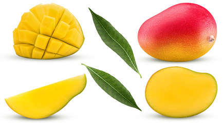 Collection mango exotic fruit, whole, cut in half, slice, cubes with leaf