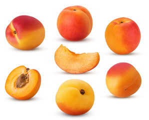 Big collection fresh ripe apricot, whole, slice, cut in half with bone