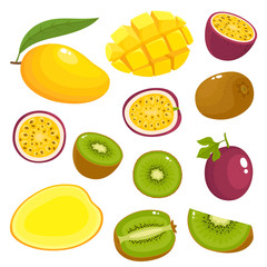Vector set of colorful kiwi, mango, passionfruit isolated on white