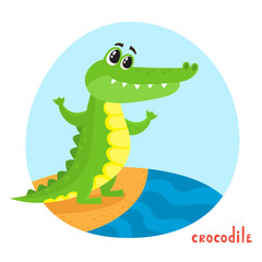 Vector cartoon illustration of wild animal crocodile isolated on white