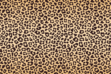 Leopard beige brown spotted fur texture. Vector
