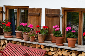 Pink and red blooming geranium flowers in small clay pots standing on a windowsill in front of a house in bavaria
