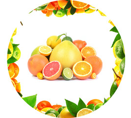 Fresh citrus fruit