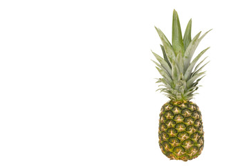 single ripe tropical fruit pineapple isolated on a white background and text space