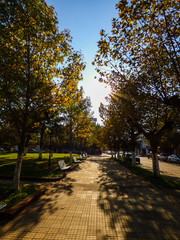 Plaza Independencia (Independence Square) in Autumn in Paso de los libres, Corrientes, Argentina