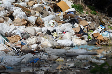 Ecology of Ukraine. Nature near Ukrainian capital.Environmental contamination. Illegal junk dump. 
