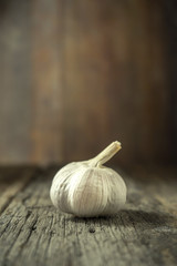 Garlic on wood background