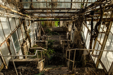 greenhouse decay