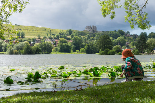 147 Best Varenne Images Stock Photos Vectors Adobe Stock