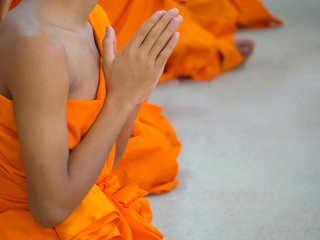 Close-up of Novices monk are praying.
