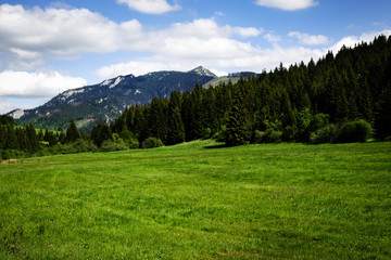 Fototapeta na wymiar summer mountain landscape with limestone peak