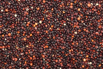 Black quinoa seeds as a background. Top view