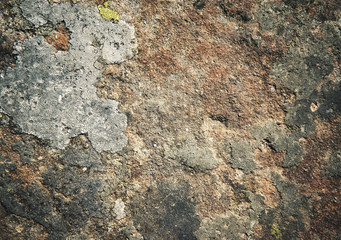 dark sandstone surface with moss