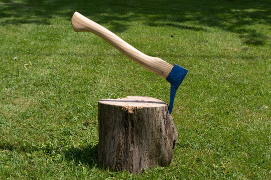 Sappie tool to making firewood sticking in a tree stem