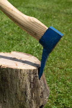 Sappie tool to making firewood sticking in a tree stem