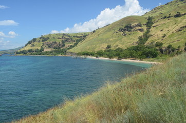 Grassland and The Sea at Magepanda Flores