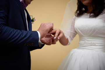 Obraz na płótnie Canvas Bride and groom exchanging rings