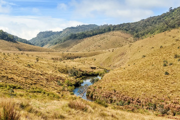 Fototapeta premium Beautiful view of river in Horton Plains