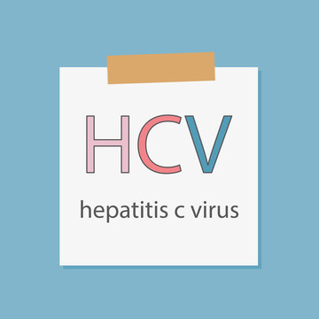 HCV Hepatitis C Virus written in a notebook paper- vector illustration