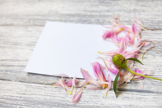 Mockup with postcard and flowers on wooden background