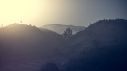Fototapeta premium Landscape of forest mountains among mist