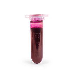 Medical plastic test tube with a blood sample on a white background