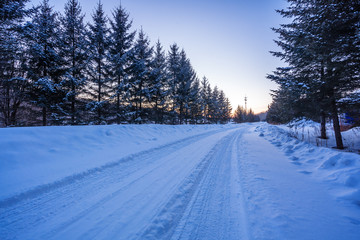snow road in winter