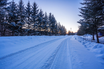 Obraz premium snow road in winter