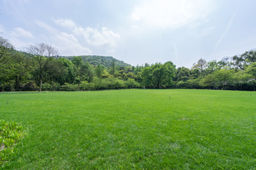 green lawn in park