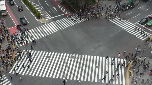 SHIBUYA,  TOKYO,  JAPAN - CIRCA MAY 2018 : Scenery of SHIBUYA around big scramble crossing in summer.