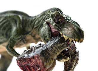 tyrannosaurus biting a dinosaur body with blood on white background close up