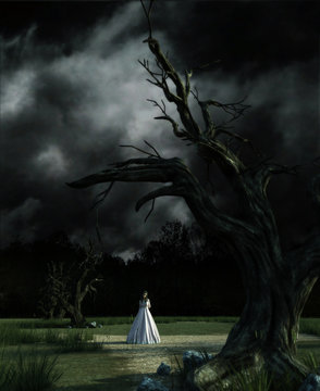 Ghost woman in white dress in Creepy forest,3d illustration
