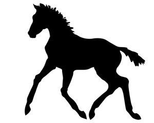 A silhouette of a trotting foal.