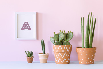 The stylish interior filled a lot of plants in different hipster clay pots with mock up poster frame. Modern plant compostion with pink background wall.