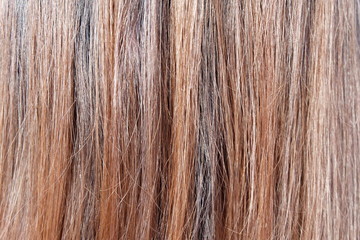 Brown hair textures background, Hair coloring