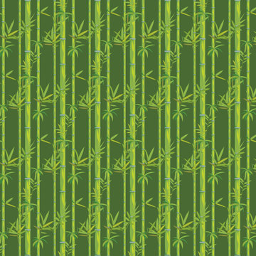 Bamboo branches design © AnnaPa