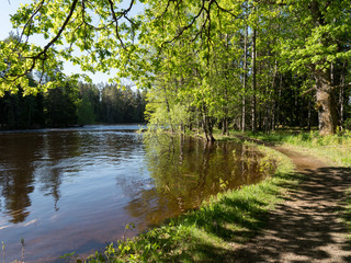 Fototapeta na wymiar Swedish river and natural salmon area in spring. Farnebofjarden national park in Sweden.