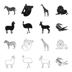 lama, ostrich emu, young antelope, animal crocodile. Wild animal, bird, reptile set collection icons in black,outline style vector symbol stock illustration web. © pandavector