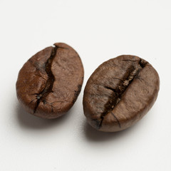 close up of two dark roasted fair trade coffee beans