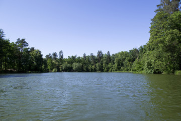 Lake in the forest. Summer landscape.